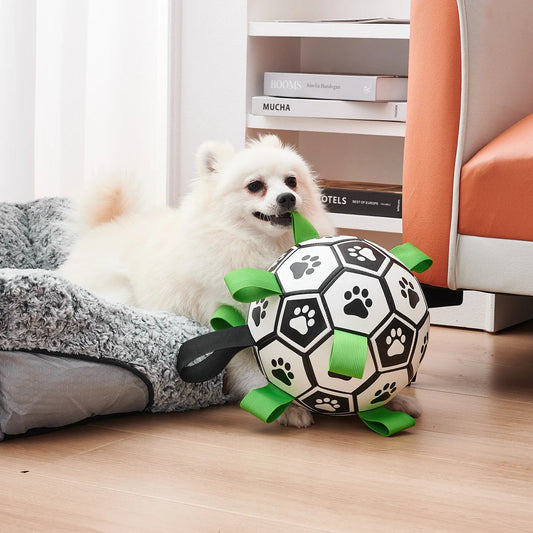 DogBall - Football For Dogs